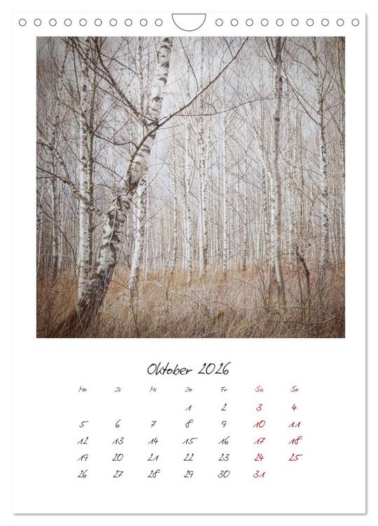 Produktbild: Rosenheim und Umgebung ... Landschaft genie&szlig;en (Wandkalender 2026 DIN A4 hoch), CALVENDO Monatskalender