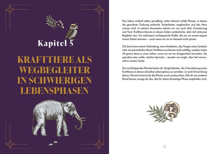 Produktbild: Krafttiere &ndash; Gef&auml;hrten der Seele