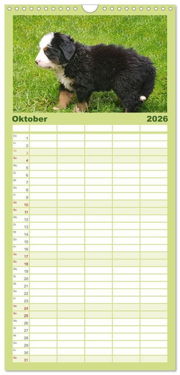 Produktbild: Familienplaner 2026 - Rasselbande mit 40 Pfoten mit 5 Spalten (Wandkalender, 21 x 45 cm) CALVENDO