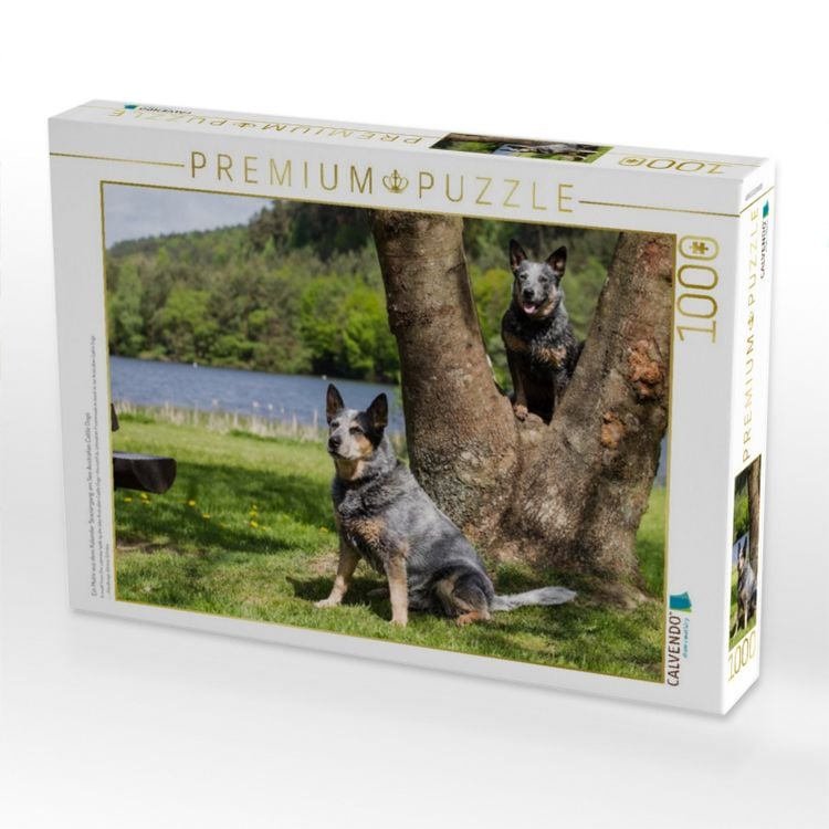Produktbild: CALVENDO Puzzle Ein Motiv aus dem Kalender Spaziergang am See Australian Cattle Dogs | 1000 Teile Lege-Gr&ouml;&szlig;e 64x48cm Foto-Puzzle f&uuml;r gl&uuml;ckliche Stunden