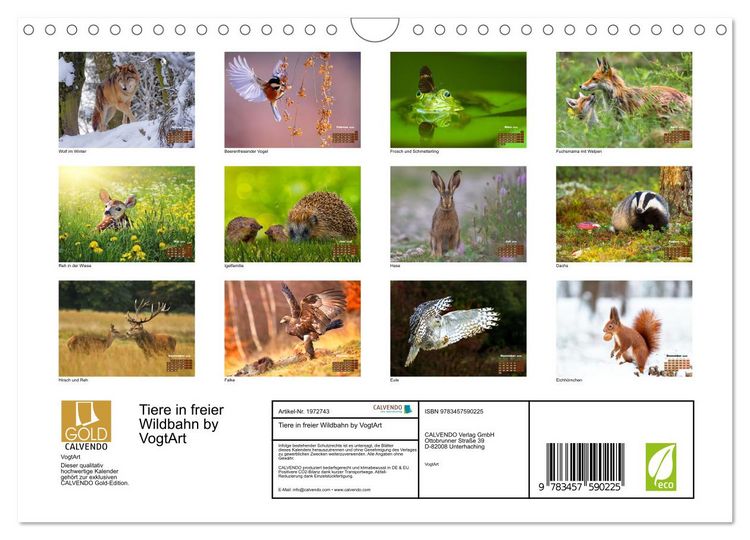 Produktbild: Tiere in freier Wildbahn by VogtArt (Wandkalender 2026 DIN A4 quer), CALVENDO Monatskalender
