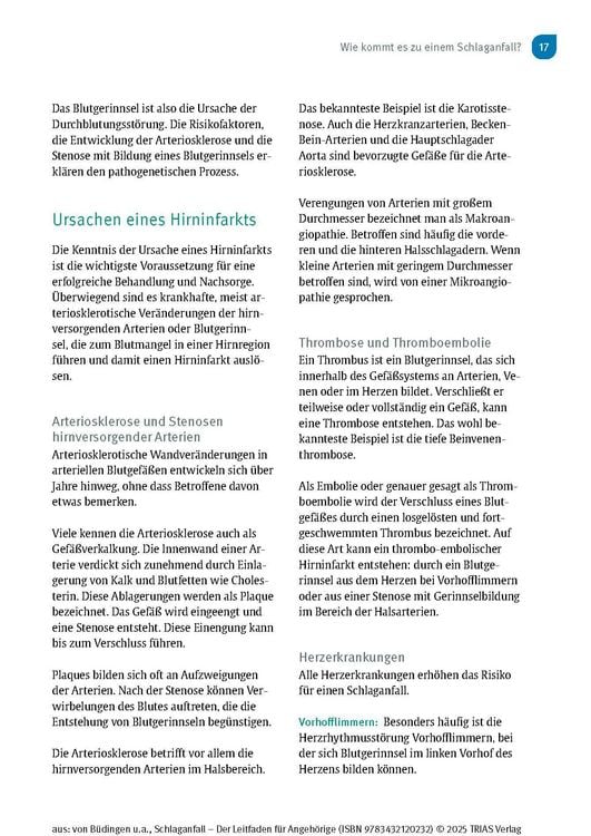 Produktbild: Schlaganfall - Der Leitfaden f&uuml;r Angeh&ouml;rige