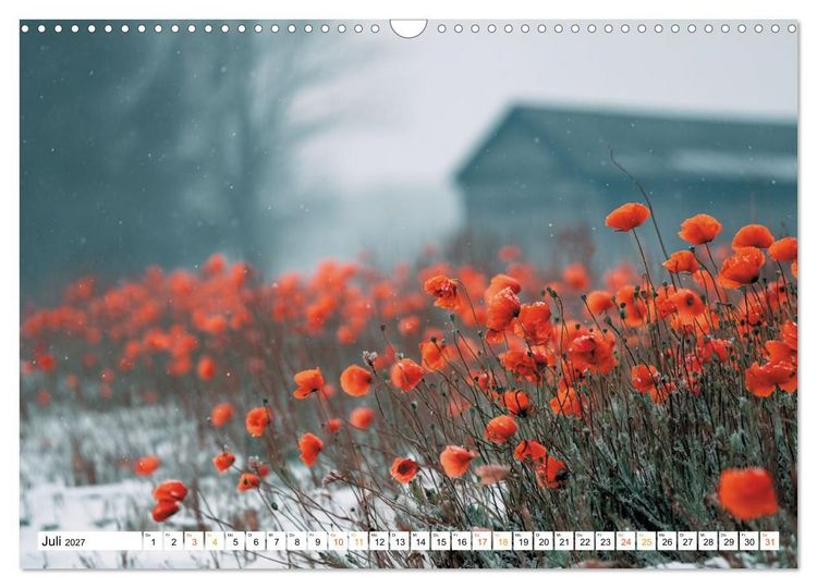 Produktbild: Mohn im Atem des Winters (Wandkalender 2027 DIN A3 quer), CALVENDO Monatskalender