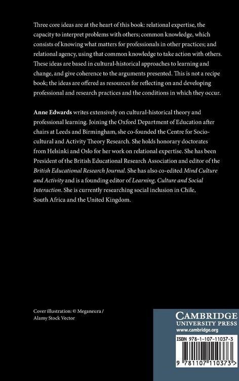 Produktbild: Working Relationally In and Across Practices