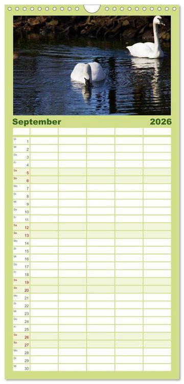 Produktbild: Familienplaner 2026 - Welt der Tiere mit 5 Spalten (Wandkalender, 21 x 45 cm) CALVENDO