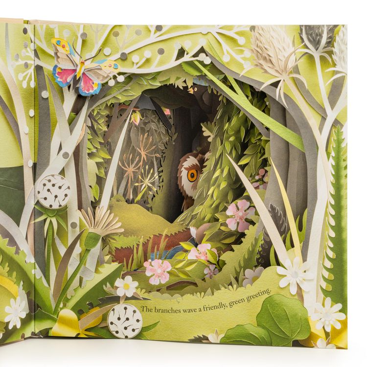Produktbild: A Walk Through the Woods