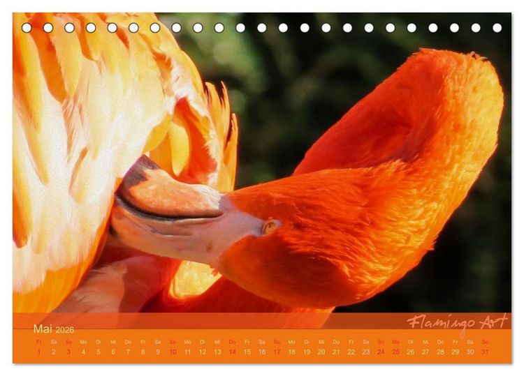 Produktbild: Flamingo Art 2026 (Tischkalender 2026 DIN A5 quer), CALVENDO Monatskalender