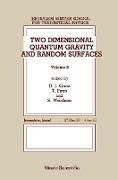 Produktbild: Two Dimensional Quantum Gravity and Random Surfaces - 8th Jerusalem Winter School for Theoretical Physics