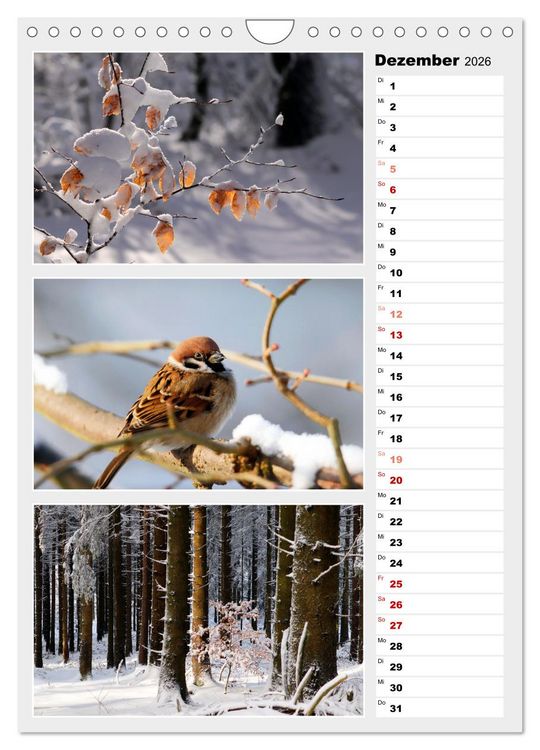 Produktbild: Zauberhafte Farben der Natur (Wandkalender 2026 DIN A4 hoch), CALVENDO Monatskalender