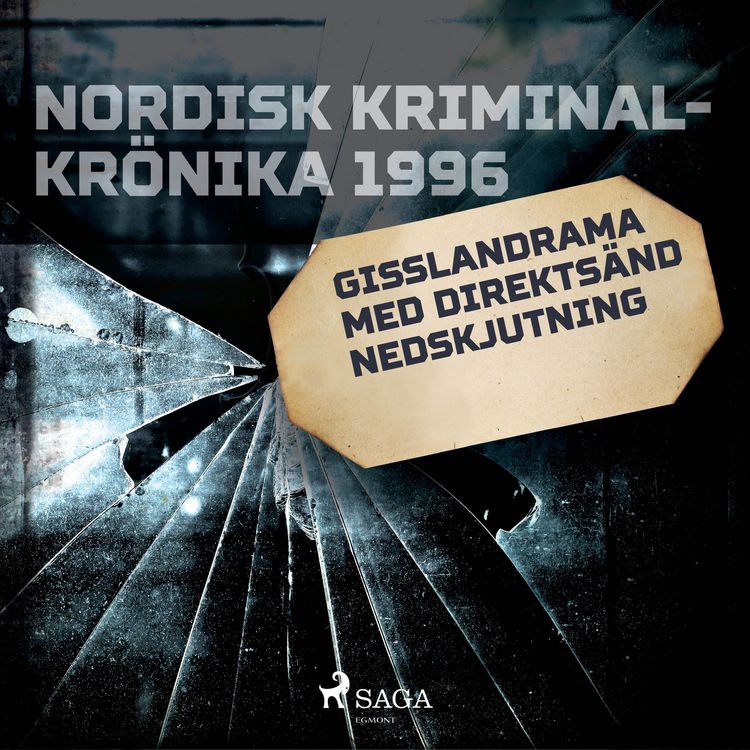 Produktbild: Gisslandrama med direkts&auml;nd nedskjutning