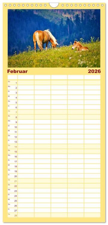 Produktbild: Familienplaner 2026 - Die besonderen Haflinger-Pferde mit 5 Spalten (Wandkalender, 21 x 45 cm) CALVENDO