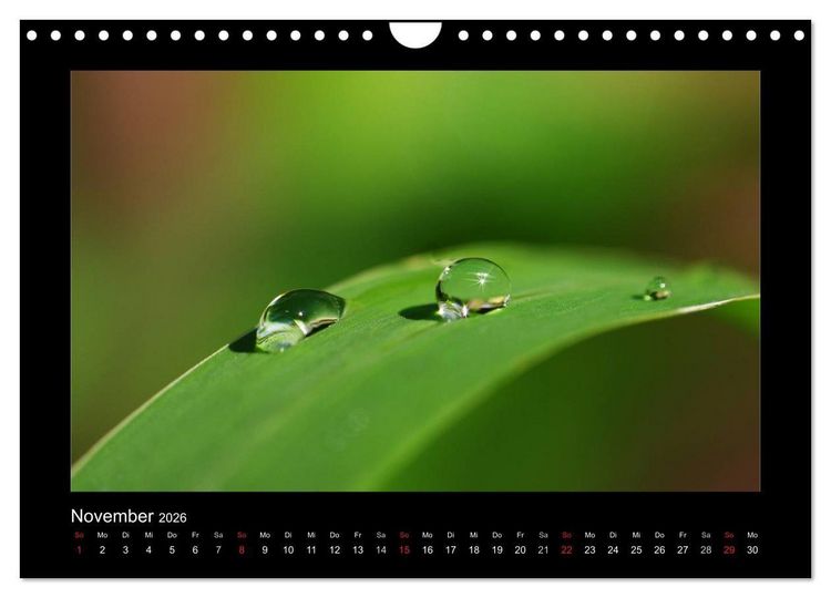 Produktbild: Meine kleine gr&uuml;ne Wassertropfen Welt (Wandkalender 2026 DIN A4 quer), CALVENDO Monatskalender