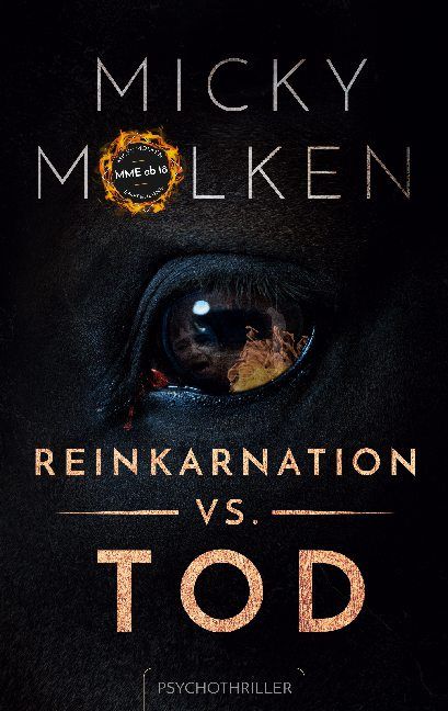 Produktbild: Reinkarnation vs. Tod