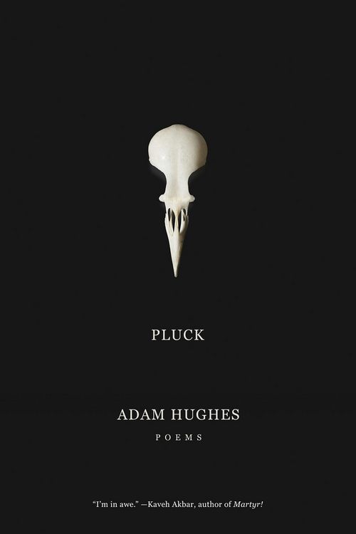 Produktbild: Pluck