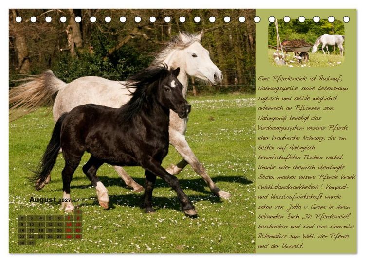 Produktbild: Pferdehaltung Tipps und Wissenswertes (Tischkalender 2027 DIN A5 quer), CALVENDO Monatskalender