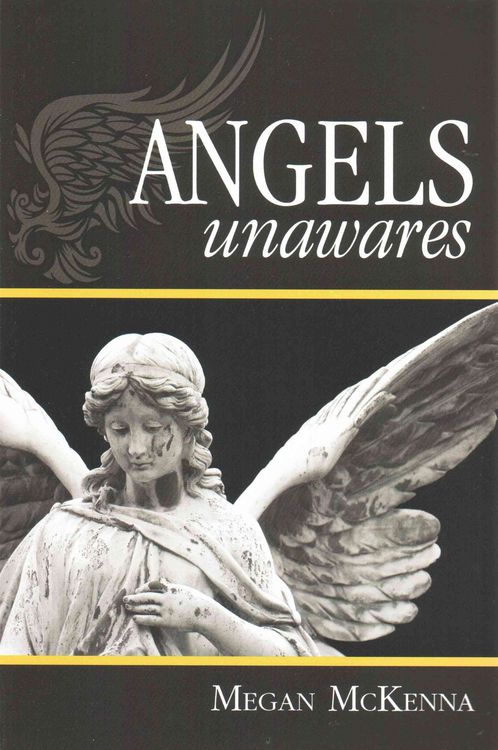 Produktbild: Angels Unawares