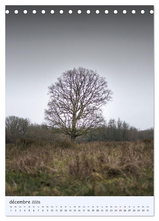 Produktbild: Arbres solitaires (Calendrier de bureau 2026 DIN A5 horizontal), CALVENDO calendrier mensuel