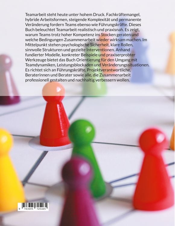 Produktbild: Teamperformance Next Level