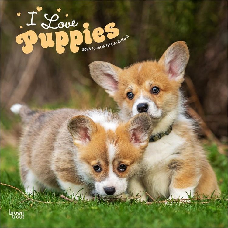 Produktbild: I Love Puppies 2026 12 X 24 Inch (Hanging) Monthly Square Wall Calendar Plastic-Free