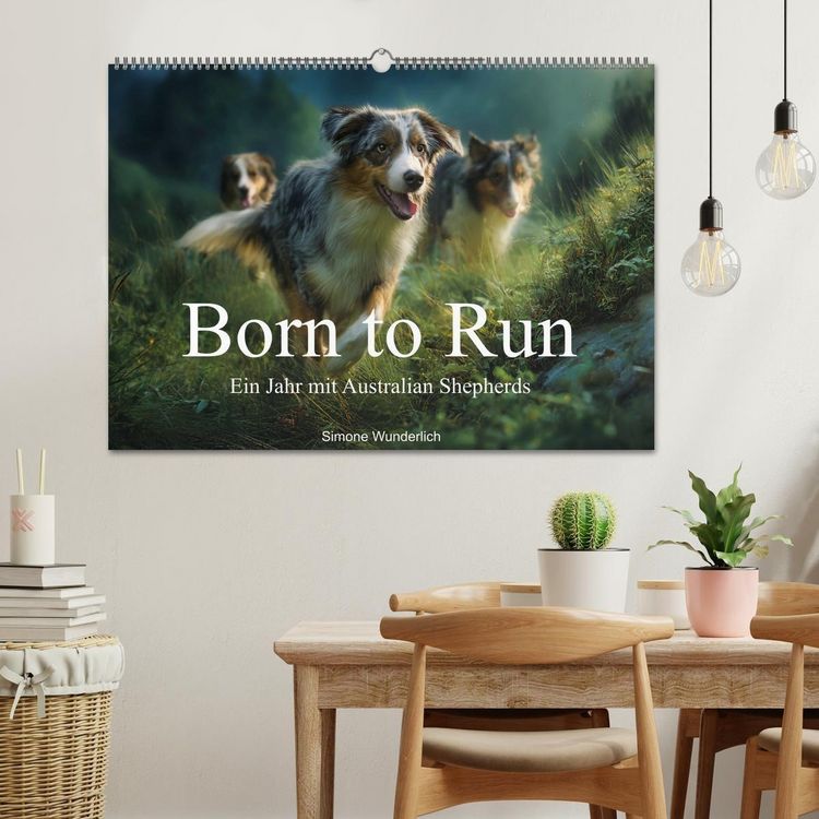 Produktbild: Born to run - Ein Jahr mit Australian Shepherds (Wandkalender 2027 DIN A2 quer), CALVENDO Monatskalender