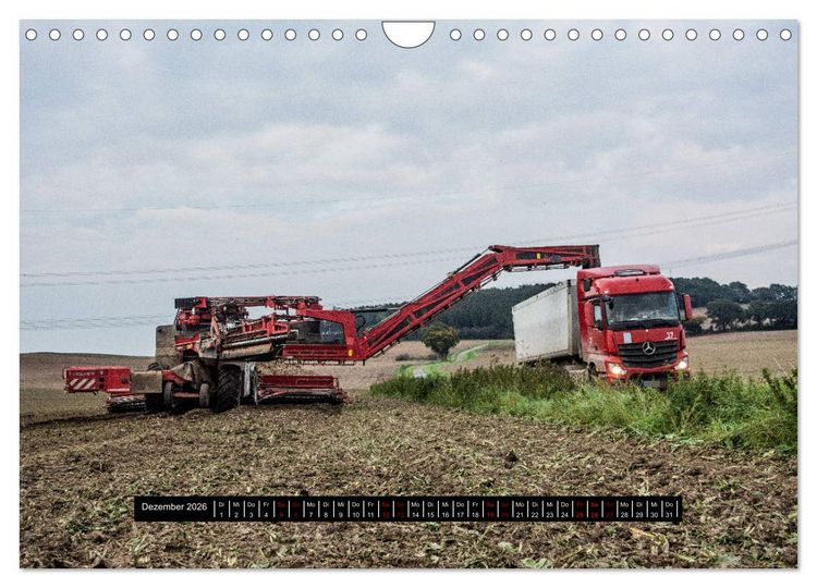 Produktbild: Landwirtschaft - Von der Saat bis zur Ernte (Wandkalender 2026 DIN A4 quer), CALVENDO Monatskalender