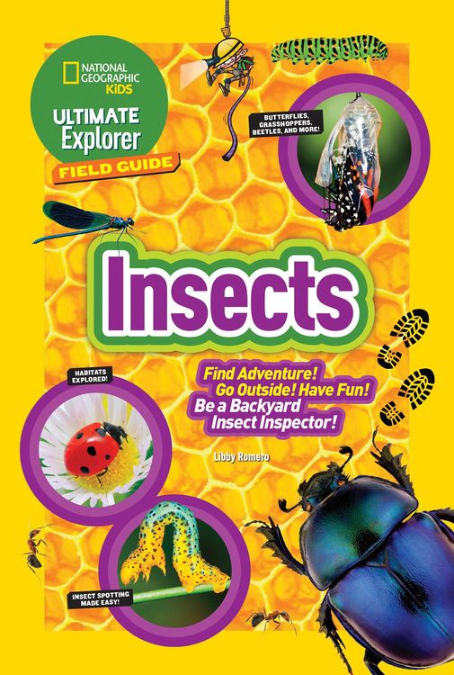 Produktbild: Ultimate Explorer Field Guide: Insects
