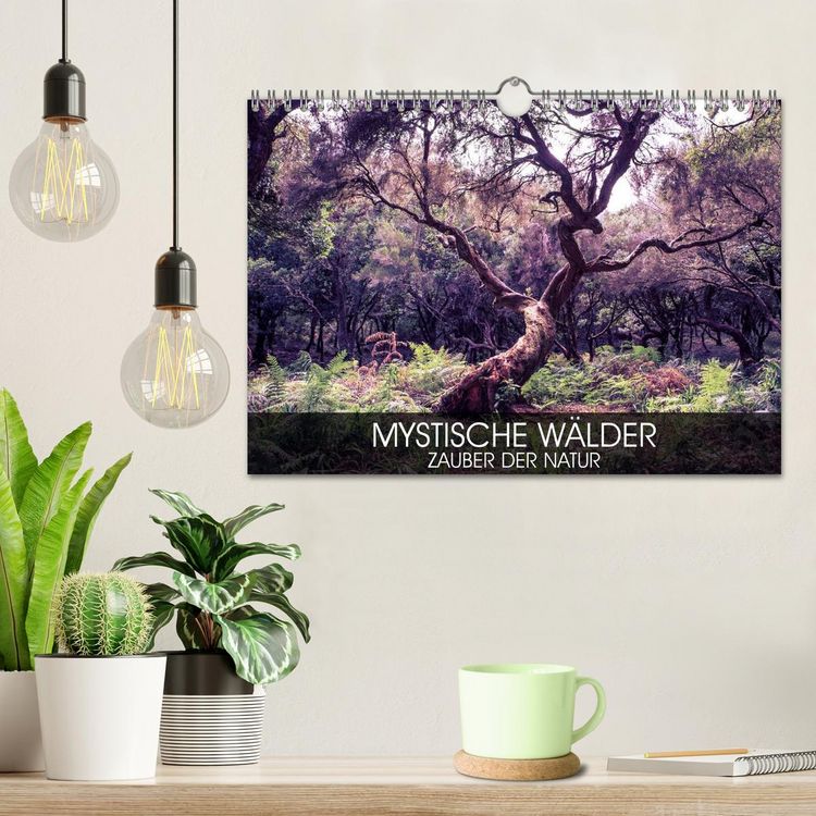 Produktbild: Mystische W&auml;lder - Zauber der Natur (Wandkalender 2026 DIN A4 quer), CALVENDO Monatskalender