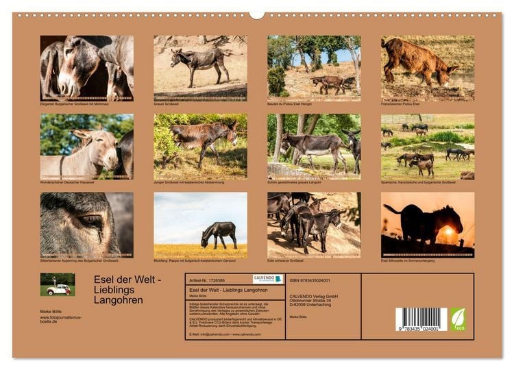 Produktbild: Esel der Welt - Lieblings Langohren (Wandkalender 2025 DIN A2 quer), CALVENDO Monatskalender