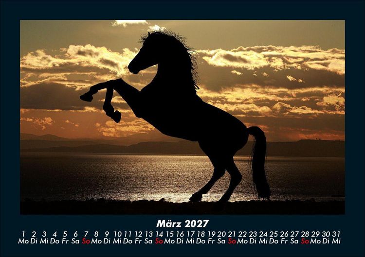 Produktbild: Pferde Kalender 2027 Fotokalender DIN A5