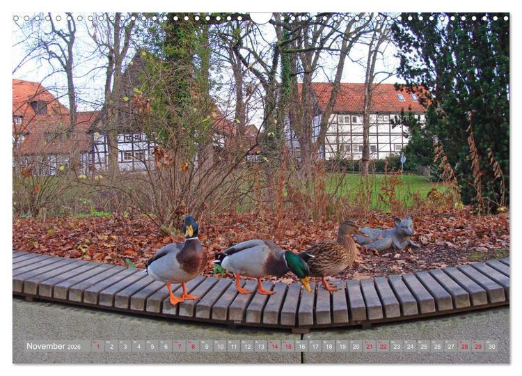 Produktbild: Bad Sassendorf (Wandkalender 2026 DIN A3 quer), CALVENDO Monatskalender