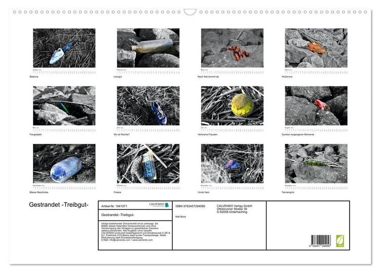 Produktbild: Gestrandet -Treibgut- (Wandkalender 2026 DIN A2 quer), CALVENDO Monatskalender