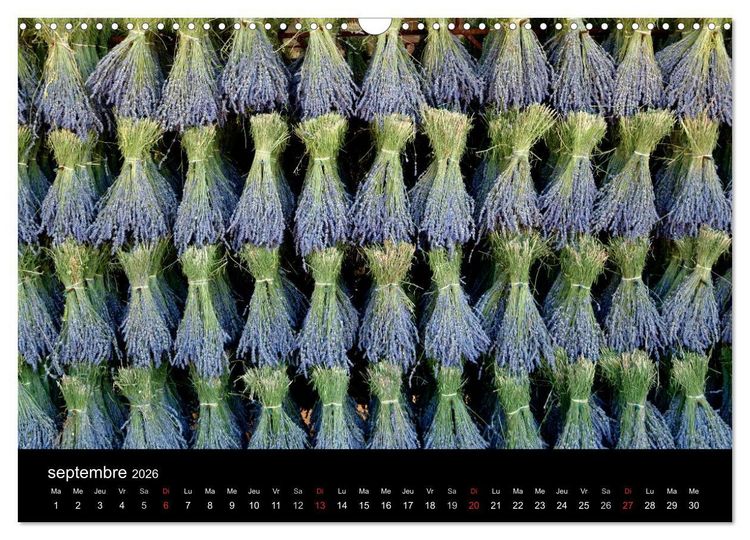 Produktbild: Lavande, l'or bleu de Provence (Calendrier mural 2026 DIN A3 vertical), CALVENDO calendrier mensuel