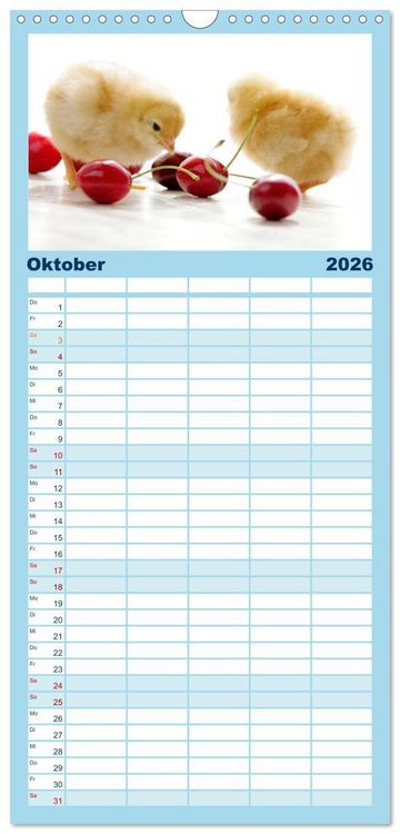 Produktbild: Familienplaner 2026 - K&uuml;ken in der Kinderstube mit 5 Spalten (Wandkalender, 21 x 45 cm) CALVENDO