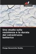 Produktbild: Uno studio sulla resistenza e la durata del calcestruzzo batterico