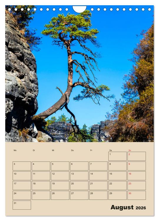 Produktbild: Zauberhafte S&auml;chsische Schweiz (Wandkalender 2026 DIN A4 hoch), CALVENDO Monatskalender