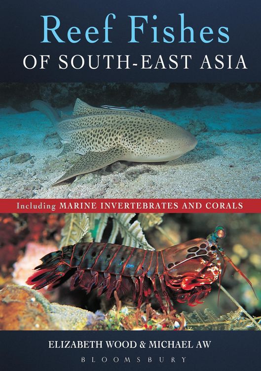Produktbild: Reef Fishes of South-East Asia