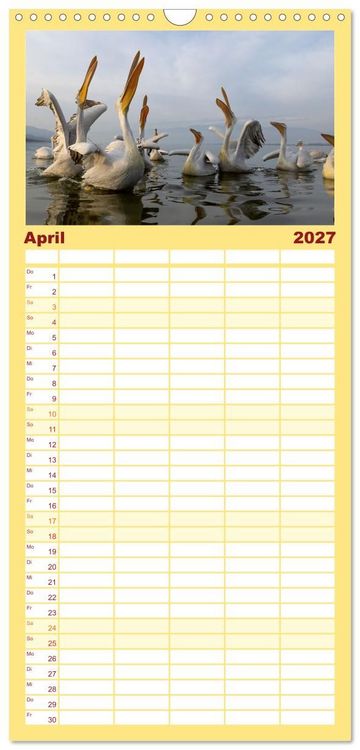 Produktbild: Familienplaner 2027 - Krauskopfpelikane mit 5 Spalten (Wandkalender, 21 x 45 cm) CALVENDO