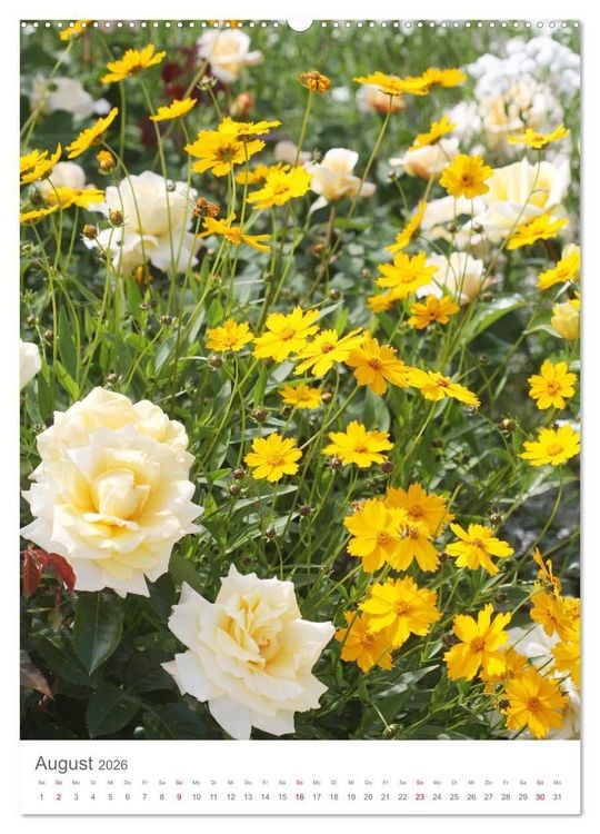 Produktbild: Gl&uuml;cklich mit Rosen (Wandkalender 2026 DIN A2 hoch), CALVENDO Monatskalender