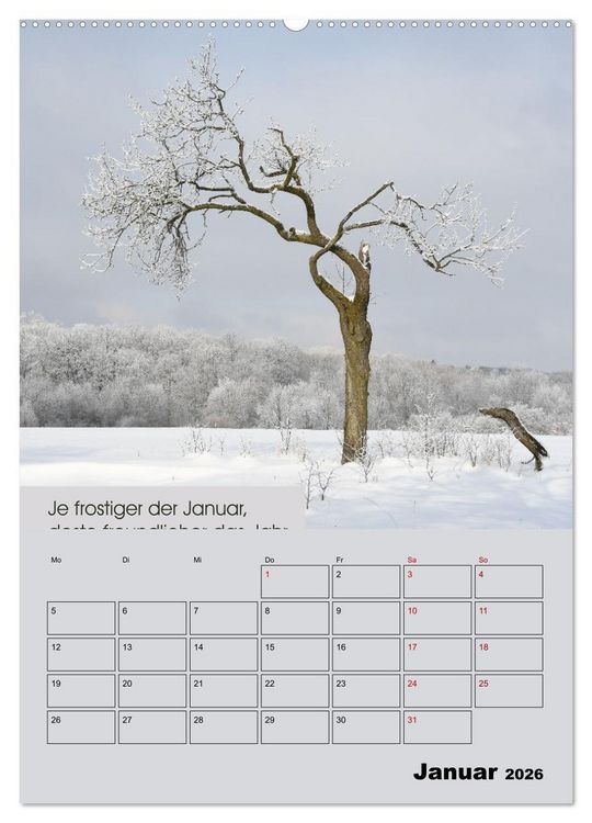 Produktbild: Wetter-Regeln der Bauern (hochwertiger Premium Wandkalender 2026 DIN A2 hoch), Kunstdruck in Hochglanz