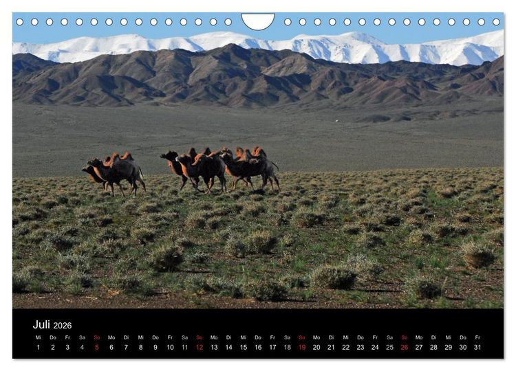 Produktbild: Einsame Mongolei (Wandkalender 2026 DIN A4 quer), CALVENDO Monatskalender