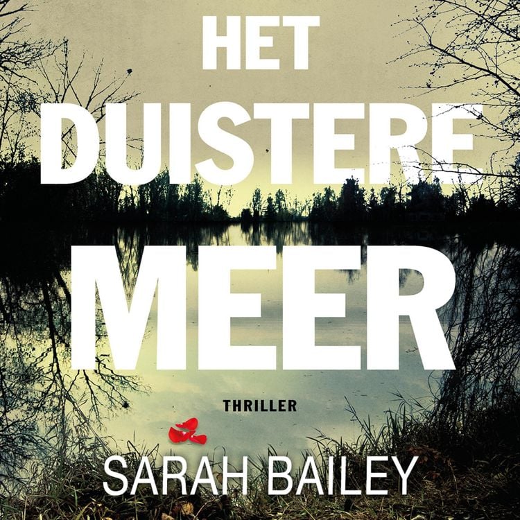 Produktbild: Het duistere meer