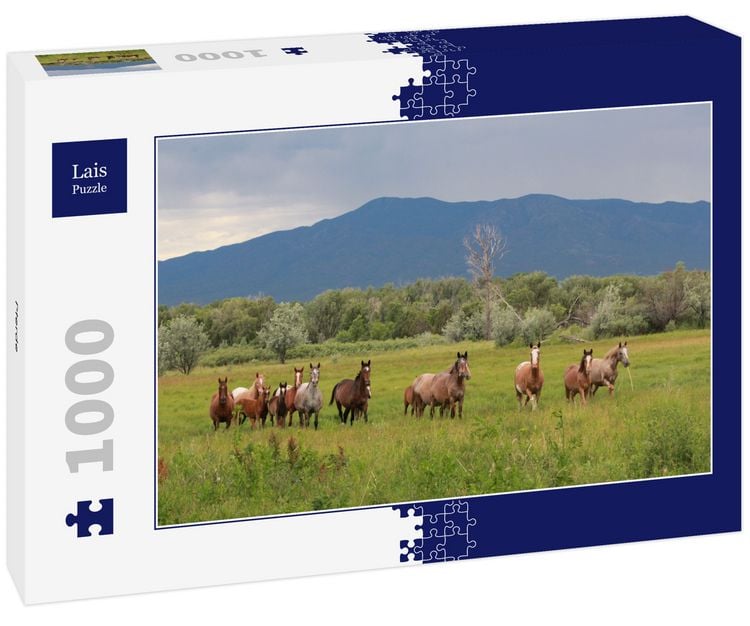 Produktbild: Lais Puzzle Pferde 1000 Teile