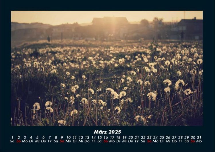 Produktbild: Bilder der Natur 2025 Fotokalender DIN A4