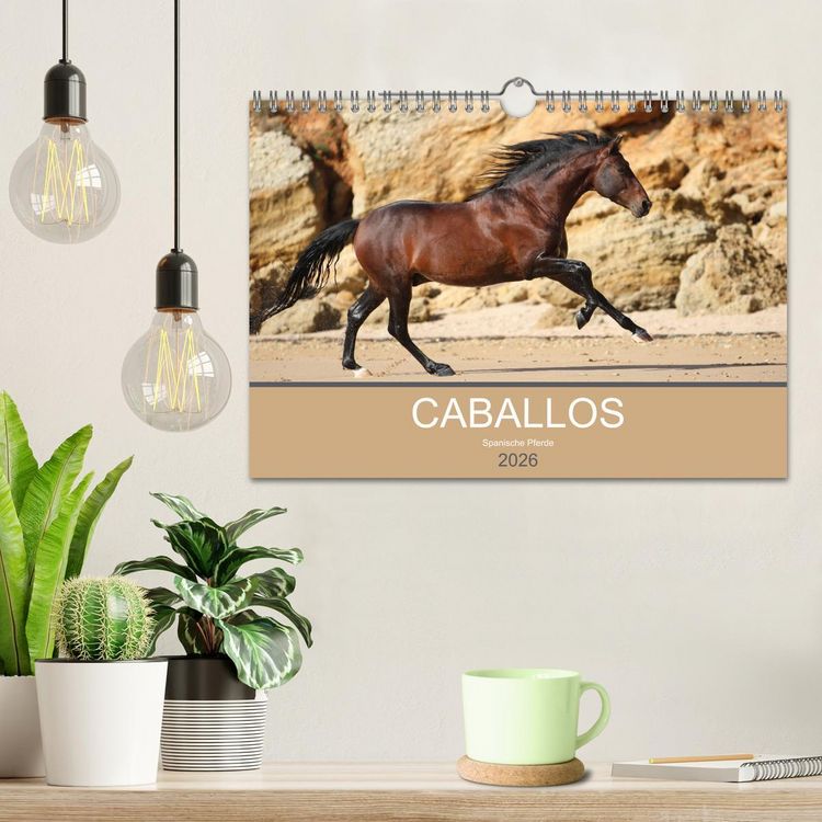Produktbild: Caballos Spanische Pferde 2026 (Wandkalender 2026 DIN A4 quer), CALVENDO Monatskalender