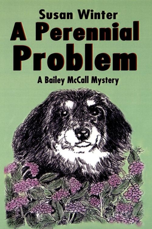 Produktbild: A Perennial Problem