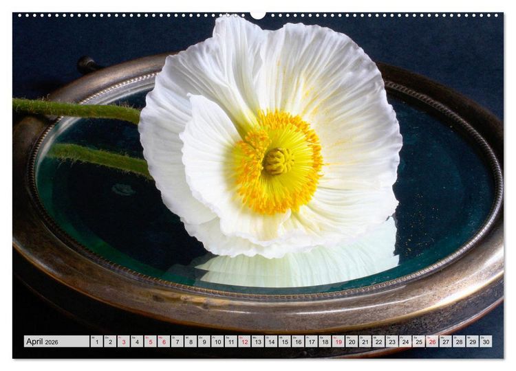 Produktbild: Prachtvolle Mohnbl&uuml;ten (hochwertiger Premium Wandkalender 2026 DIN A2 quer), Kunstdruck in Hochglanz