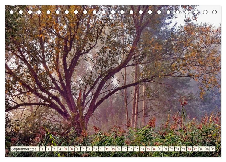 Produktbild: Hamburg: Vier- und Marschlande (Tischkalender 2026 DIN A5 quer), CALVENDO Monatskalender