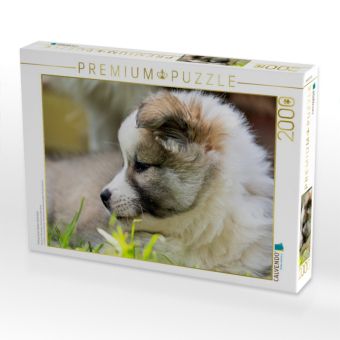 Produktbild: CALVENDO Puzzle Portrait einer kleinen Sch&ouml;nheit | 2000 Teile Lege-Gr&ouml;&szlig;e 90x67cm Foto-Puzzle f&uuml;r gl&uuml;ckliche Stunden