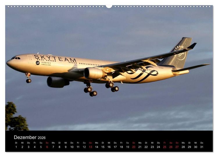 Produktbild: Sch&ouml;nheit der Flugzeuge (Wandkalender 2026 DIN A2 quer), CALVENDO Monatskalender