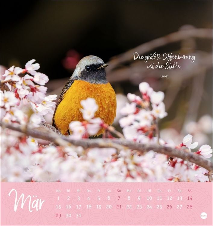 Produktbild: Stille Momente Postkartenkalender 2027